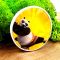 Держатель для телефона PopSocket Kung-Fu Panda