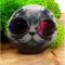 Держатель для телефона PopSocket Steep Cat